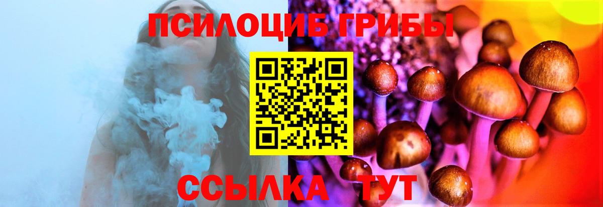 где можно купить наркотик  Галлюциногенные грибы Cubensis  Вход с VPN  Белорецк 